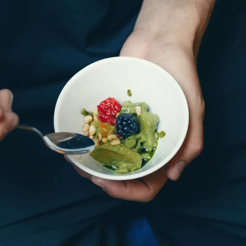 Gemüse Pesto mit Green Lilly Basilikum